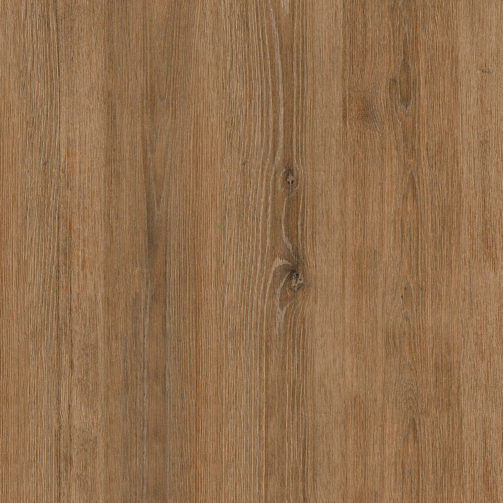 EFI 50462976 1684300900 M2_Colorobbia-2152_2014-11-06_1110_nCLR.icc